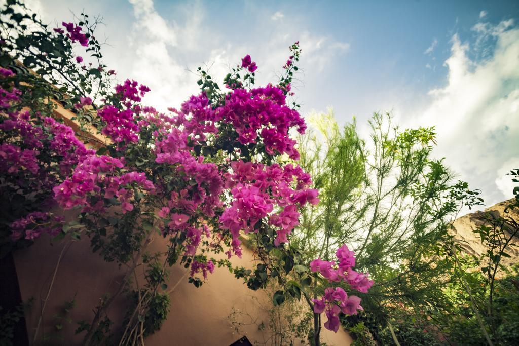 La Terrasse Des Delices Panzió Varzazate Kültér fotó